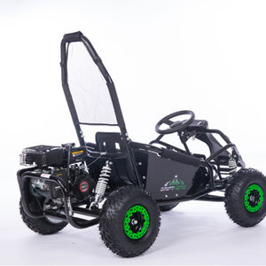 Gas Go Kart (1 Seat)